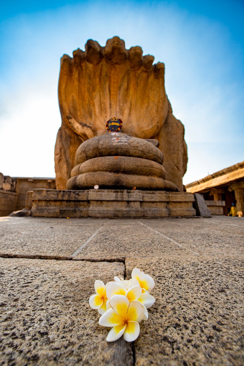 fotofilepanda's tweet image. GM Friends, Have a nice Sunday!

Always have liked to photograph temples &amp;amp; knowing the history behind them.
#NFTCommunity #nftphotography #indiaarchitecture #India