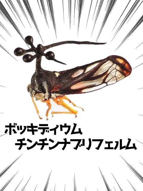 万博キャラクターのC案の展開イメージの右下にいる虫は多分