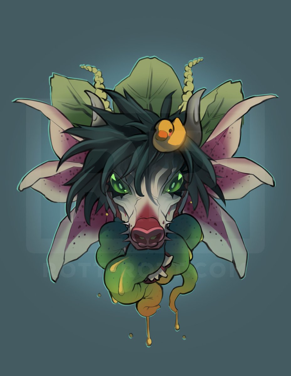 Symmetry bust for Akiiichaos