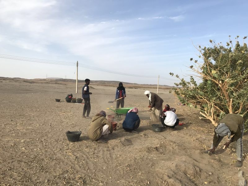 jubudka's tweet photo. Fieldwork at Ginis East started today #Sudan #Archaeology https://t.co/n75F3cADM1