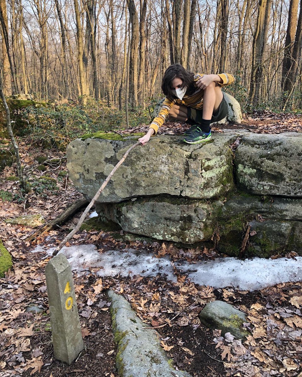 gillie's tweet photo. To help L (and let’s be fair, also me) cope with yesterday’s terrible, horrible, no good, very bad mental health day, I took him Up The Hill for a 5 mile hike. This was my 3rd hike of the year, his 2nd, so I am going to make him do the #52hikechallenge officially this year. #LHHT https://t.co/kx1Fezm3PJ