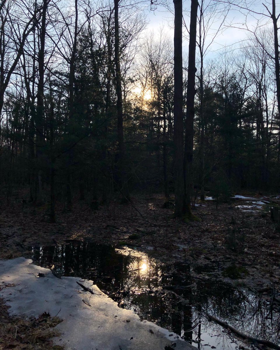 gillie's tweet photo. To help L (and let’s be fair, also me) cope with yesterday’s terrible, horrible, no good, very bad mental health day, I took him Up The Hill for a 5 mile hike. This was my 3rd hike of the year, his 2nd, so I am going to make him do the #52hikechallenge officially this year. #LHHT https://t.co/kx1Fezm3PJ