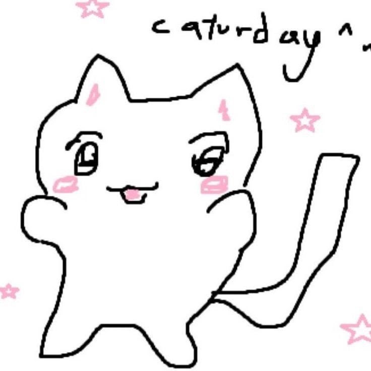 its caturaday :3