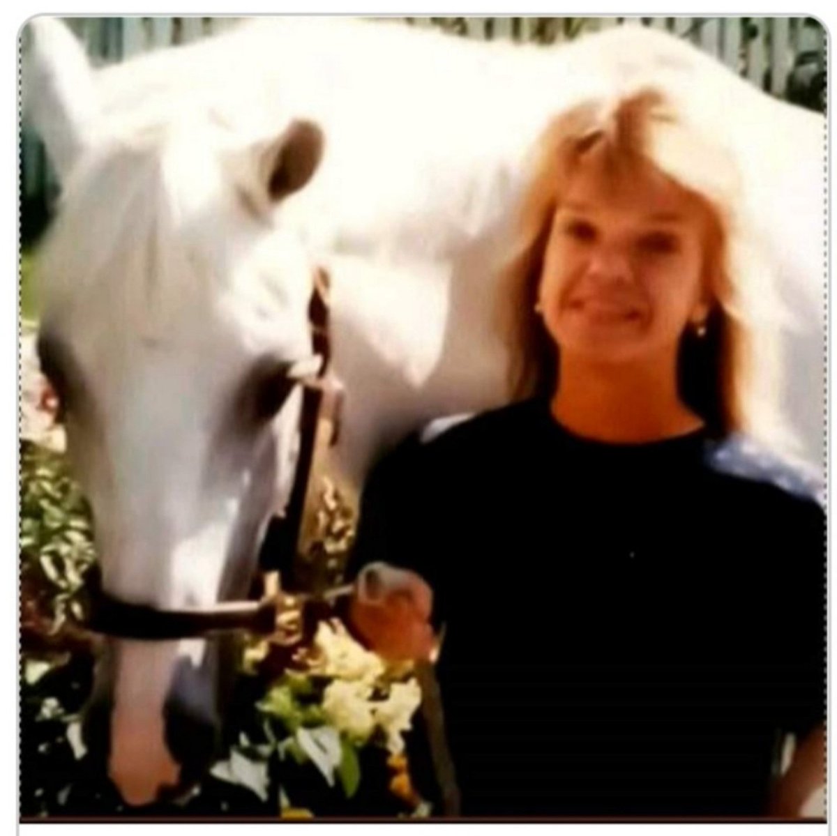 NYJOCKEY's tweet photo. @BklynBckstretch Hi Theresa! How are you? I haven't been on Twitter for over a year so maybe you can answer WHAT THE HELL ARE THEY DOING TO BELMONT PARK? I think my heart's gonna be broken. Is the tackshop across the street from Belmont still there? Miss you! https://t.co/1lbjNFc6nv