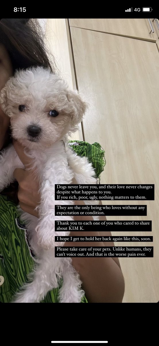 bavuthri's tweet photo. Need a small favour, please help me to retweet this. Helping a friend of mine to find her lost puppy, Kim K. Her puppy has health complications and she is only 2 months old. She went missing since last Wednesday and was last seen at Jalan Akasia 4, Botanic Klang. https://t.co/NVOu2TwtSP