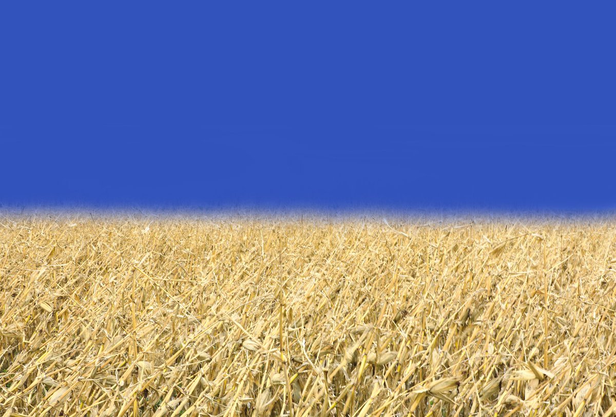 cide411's tweet image. #Ukraine #StandWithUkraine️