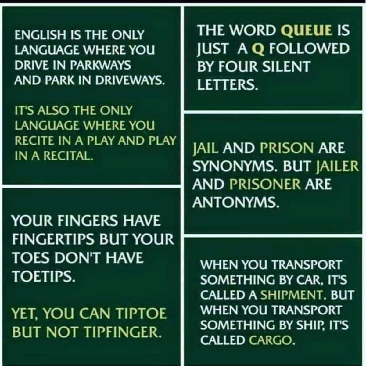 JMBuckleyWrites's tweet photo. It's a wonder that we can even write in this crazy language.

#writingcommunity https://t.co/zxpkBFswfi