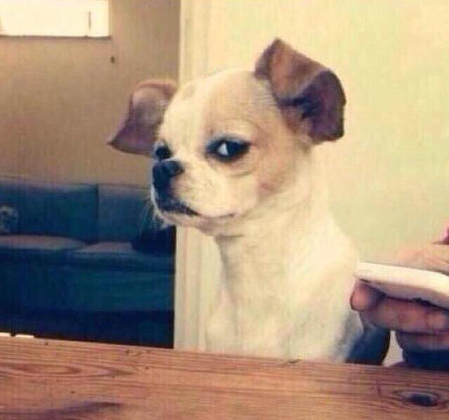 #الاجراءات_الاحترازيه : تستطيع الذهاب الى اي مكان الان 😁

المحفظه: لا ياشيخ.. انثبر بس 🤨