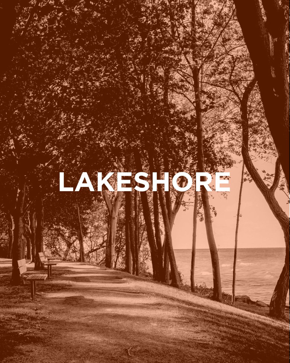 We’re getting ready to open up our Lakeshore clinic at:

🔸 3590 Lake Shore Blvd

Be sure to follow <a href="/tmedicollective/">The Medi-Collective</a> for more info + updates! #TogetherHealthy

#ontario #ontariohealthcare #familymedicine #familymedicineontario #toronto #lakeshore #familydoctor #medicalclinic