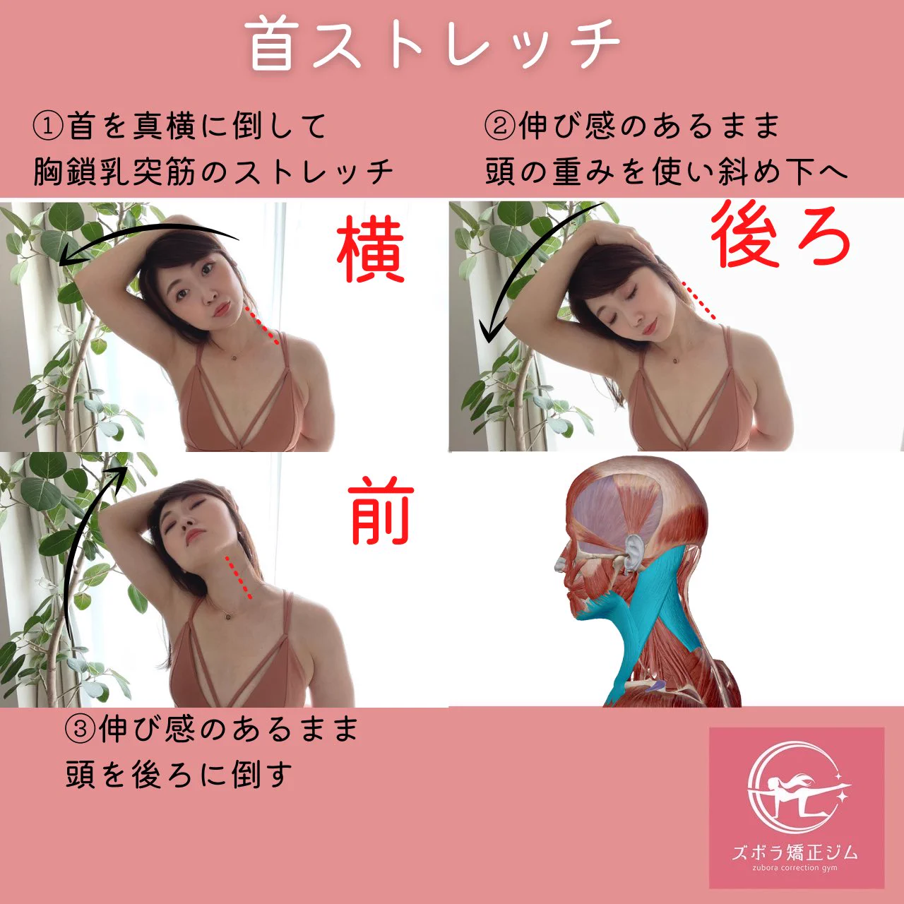 小顔の石原さとみさんも…！「胸鎖乳突筋」を意識している！！