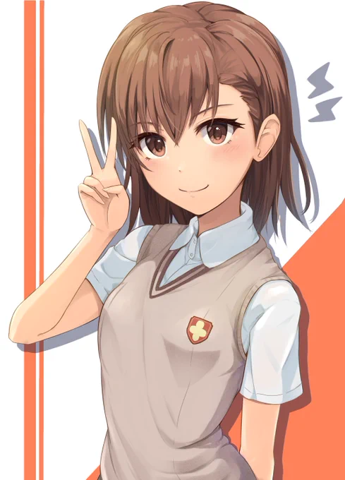 サクカに使ったみこっちゃ 