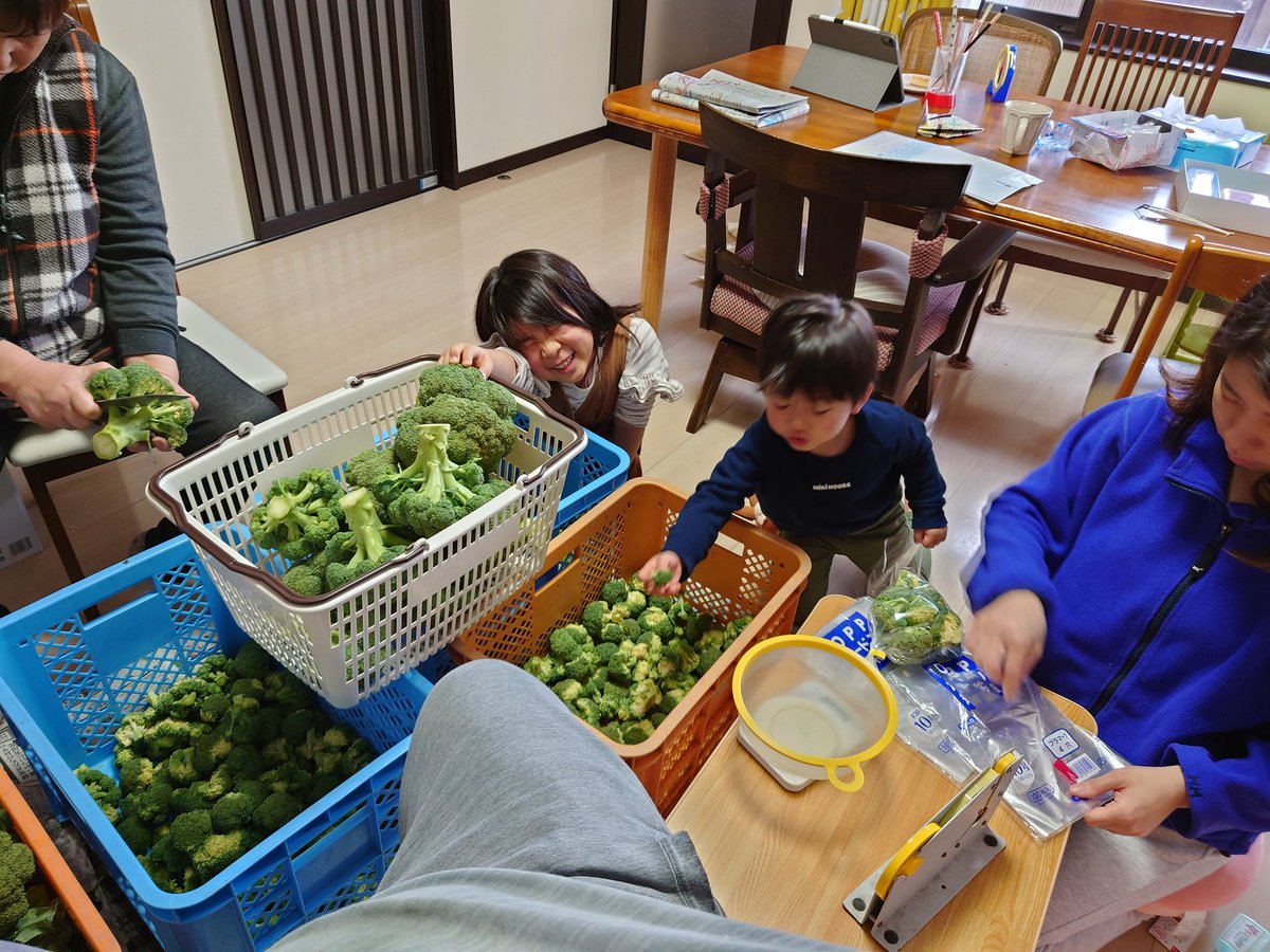 omochabatake's tweet photo. 家族でブロッコリーのカット作業。
今日はマルワにカットブロッコリーを出しまーす。 https://t.co/gNiPA5O4tr