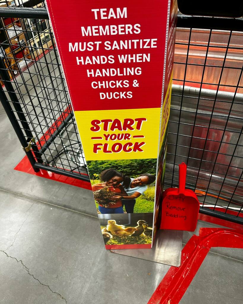 evilrobot's tweet image. A story in four pictures. instagr.am/p/CaveFbuvWe9n…