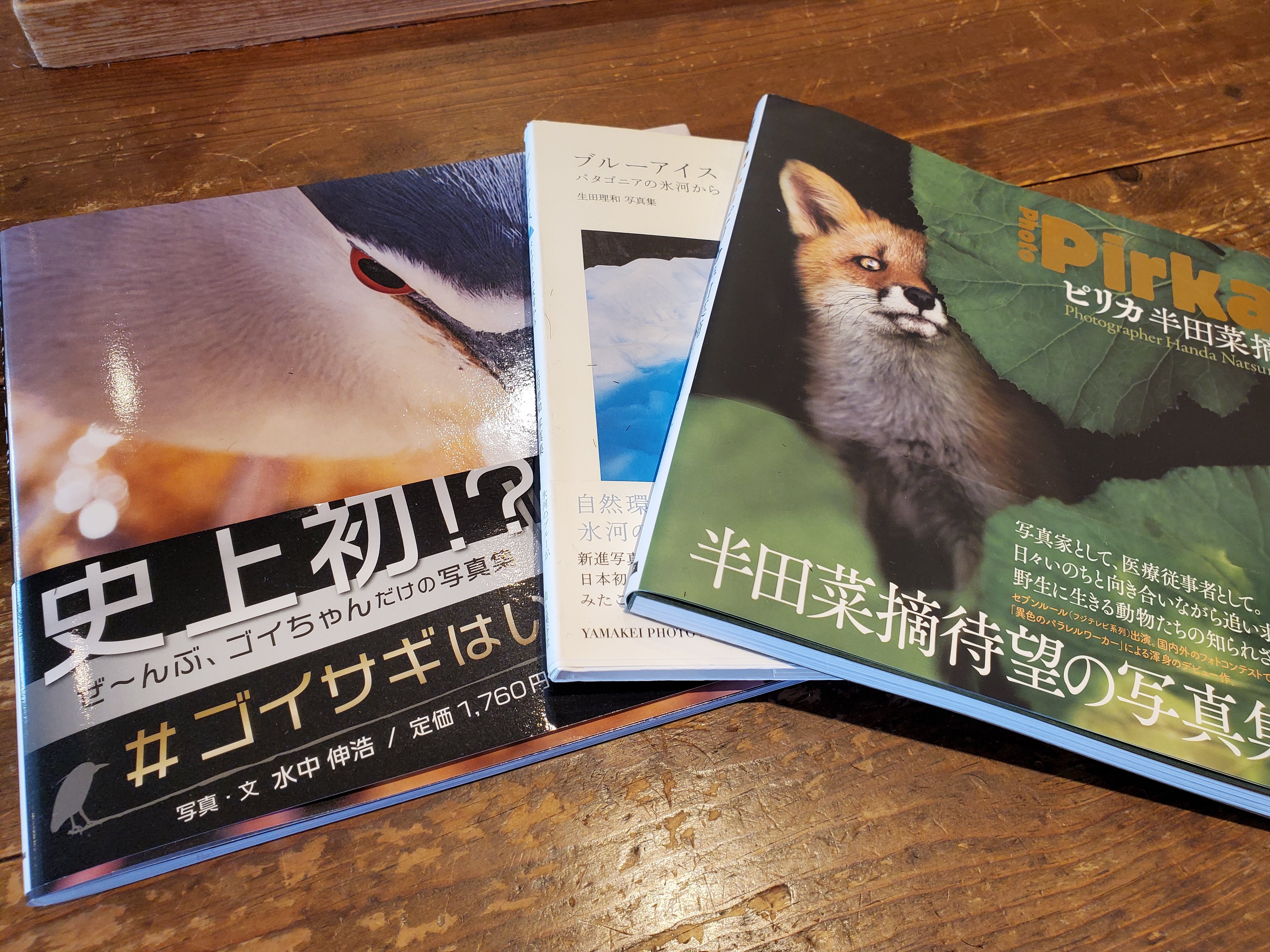 のび 写真集 ゴイサギはいいぞ 大好評発売中 Nobbyy0402 Twitter