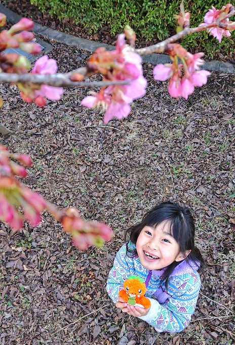 杉山穂乃果のTwitter画像16