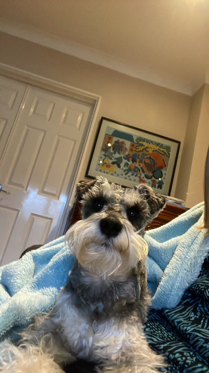 Aideen Hodgins tweet media