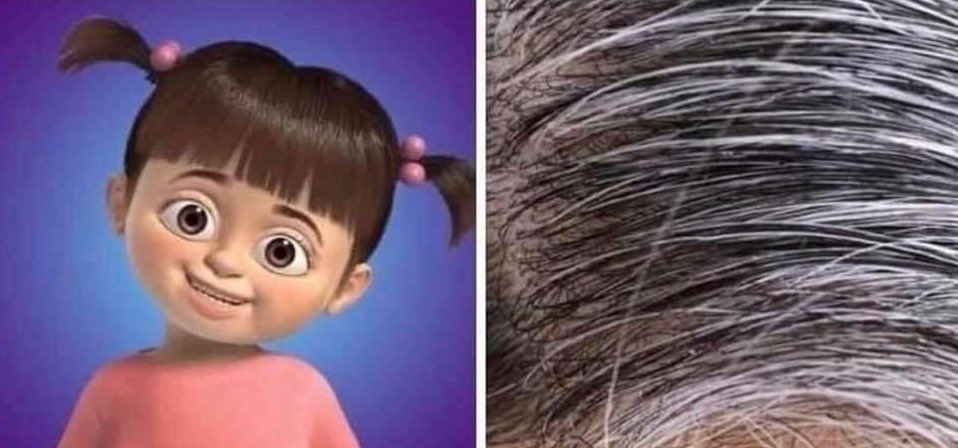 𝘾𝙤𝙧𝙧𝙞𝙙𝙤𝙨 & 𝘽𝙖𝙣𝙙𝙖𝙨 tweet media