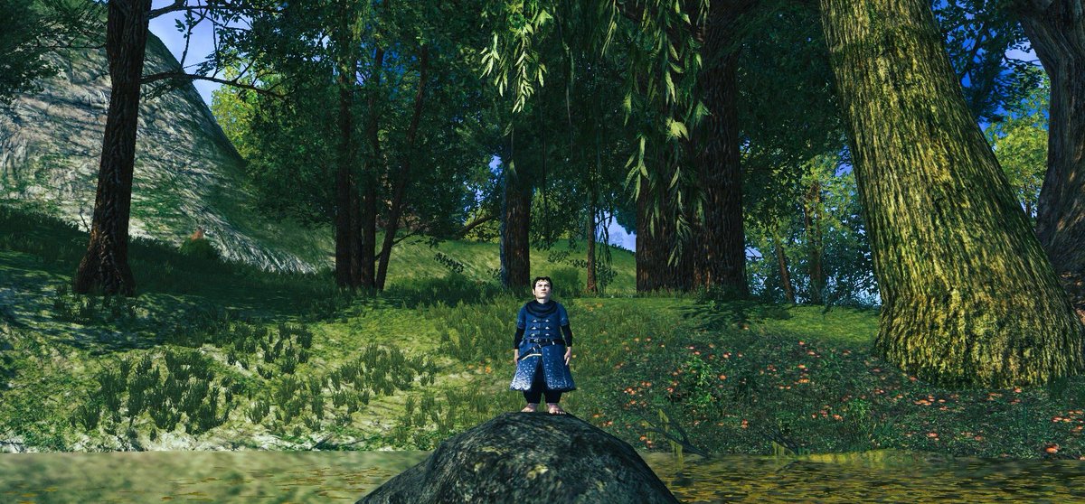 SnugglyFoot's tweet image. What gorgeous views, while fishing in the Shire!