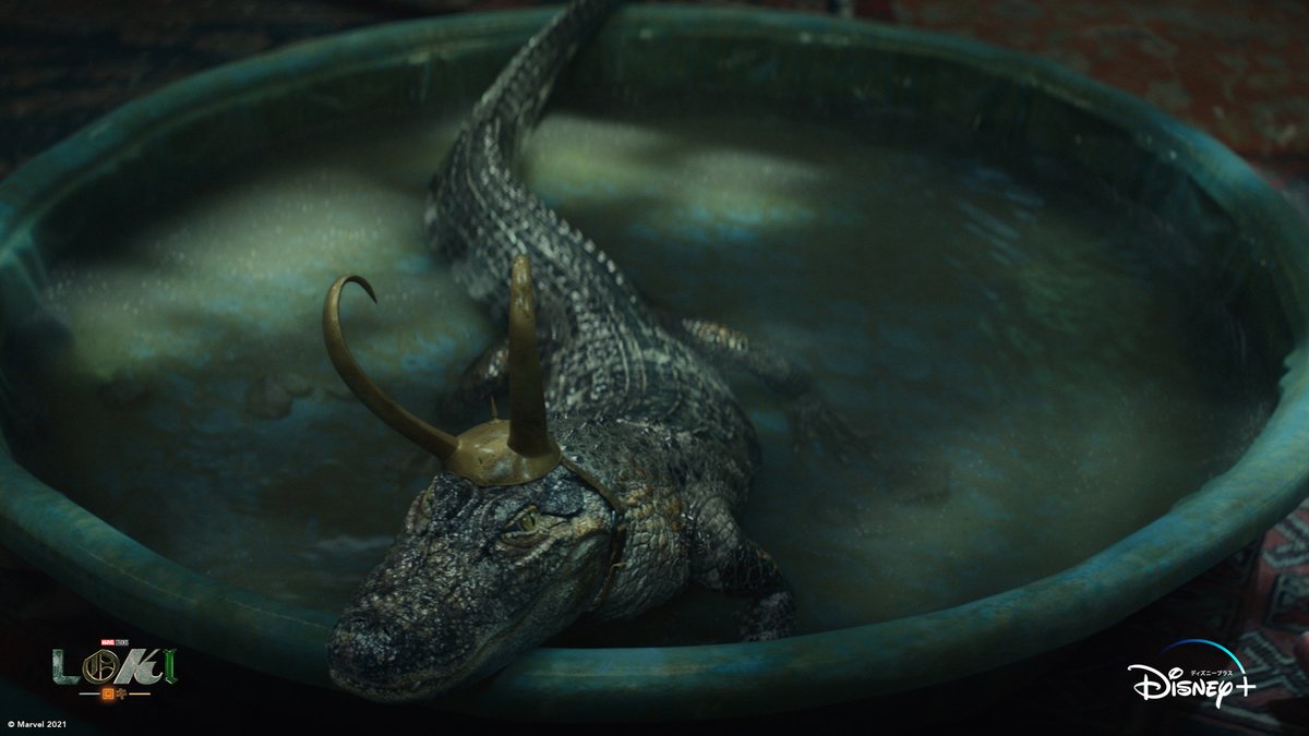 今日（3/6）は #弟の日 💡

MCUに登場する“弟”といえば、
雷神 #ソー の弟である、宇宙一の裏切り王子 #ロキ💫

もしあなたがロキを弟にするなら…
どのロキを弟にしたい？
リプライへどうぞ✍

#マーベル