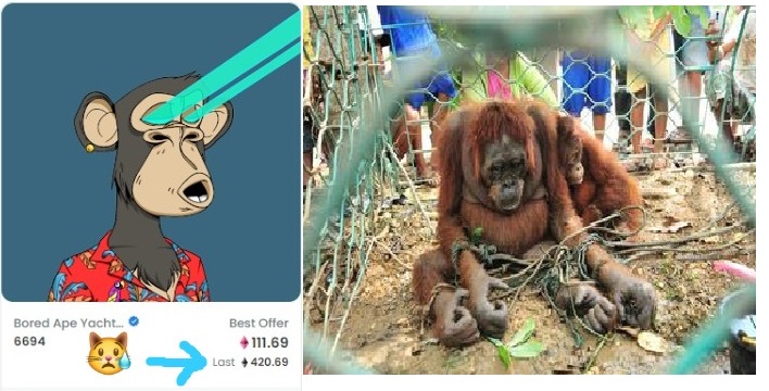 Mighty_LordAlul's tweet photo. our hope that the beam eye can save that ape who was locked up and tortured.
if it can't.

what's the point of that 420.69 eth
@MyFuckingPickle @walhinasional @KementerianLHK @bornean_OU @OrangutanFndn @OrangutansSOS @WWF https://t.co/iQ3ayLycub