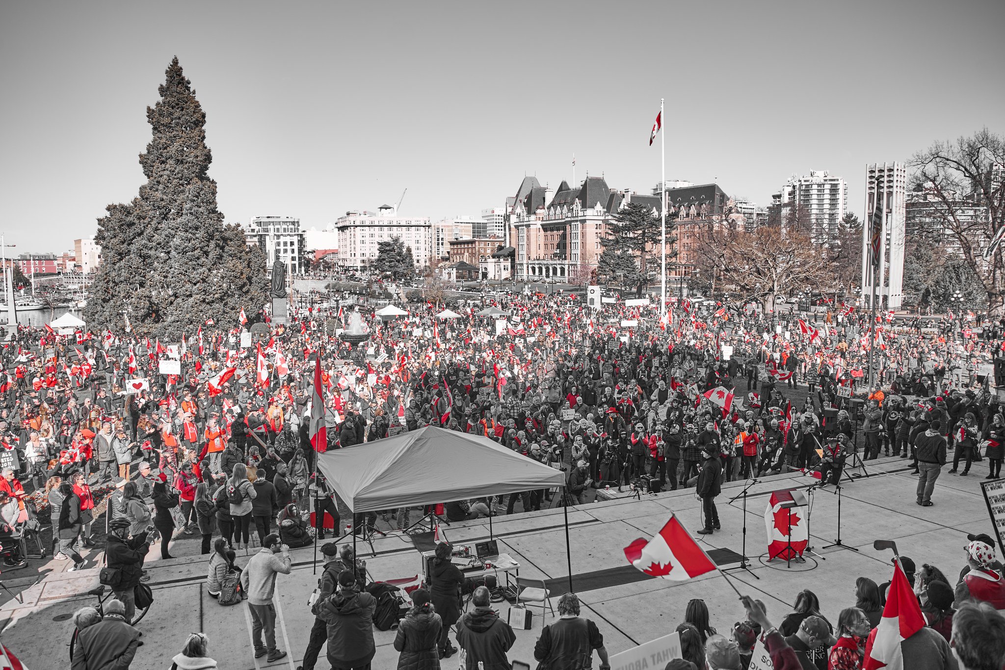 🍁 JR Phipps PPC Victoria BC🍁 on Twitter: