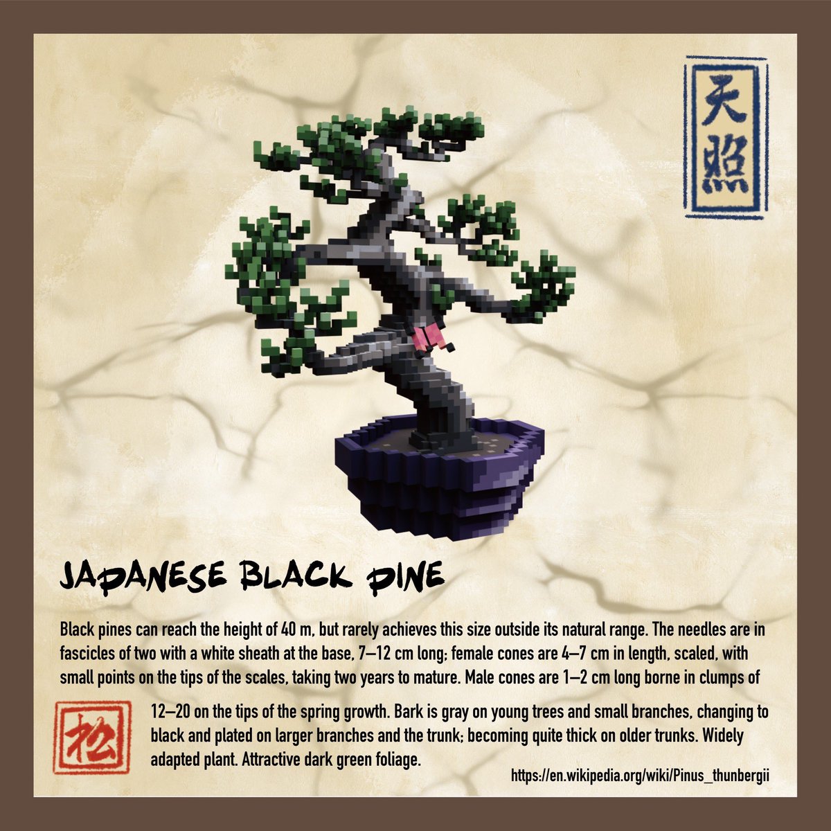 The Cryptobonsai tweet media