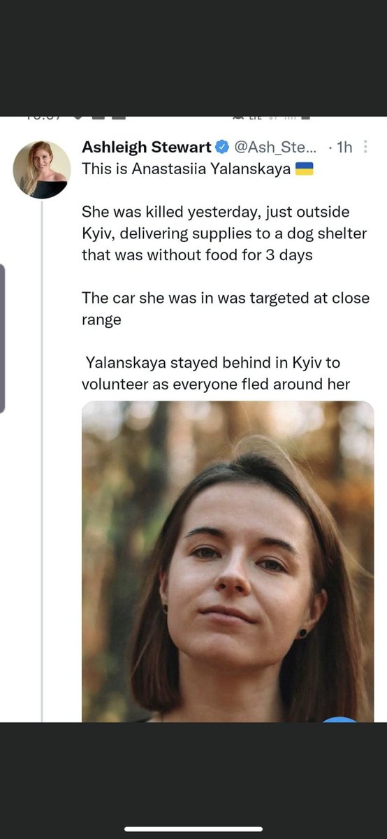 dylanchick's tweet photo. RIP 🕊🐾💔
You helped save many little lives with your selflessness. 🇺🇦 #HeroesOfUkraine #Ukraine️ #UkraineRussianWar #UkraineRussiaWar #rescue #Casualty #senselesswar https://t.co/w0qOR2VOxh