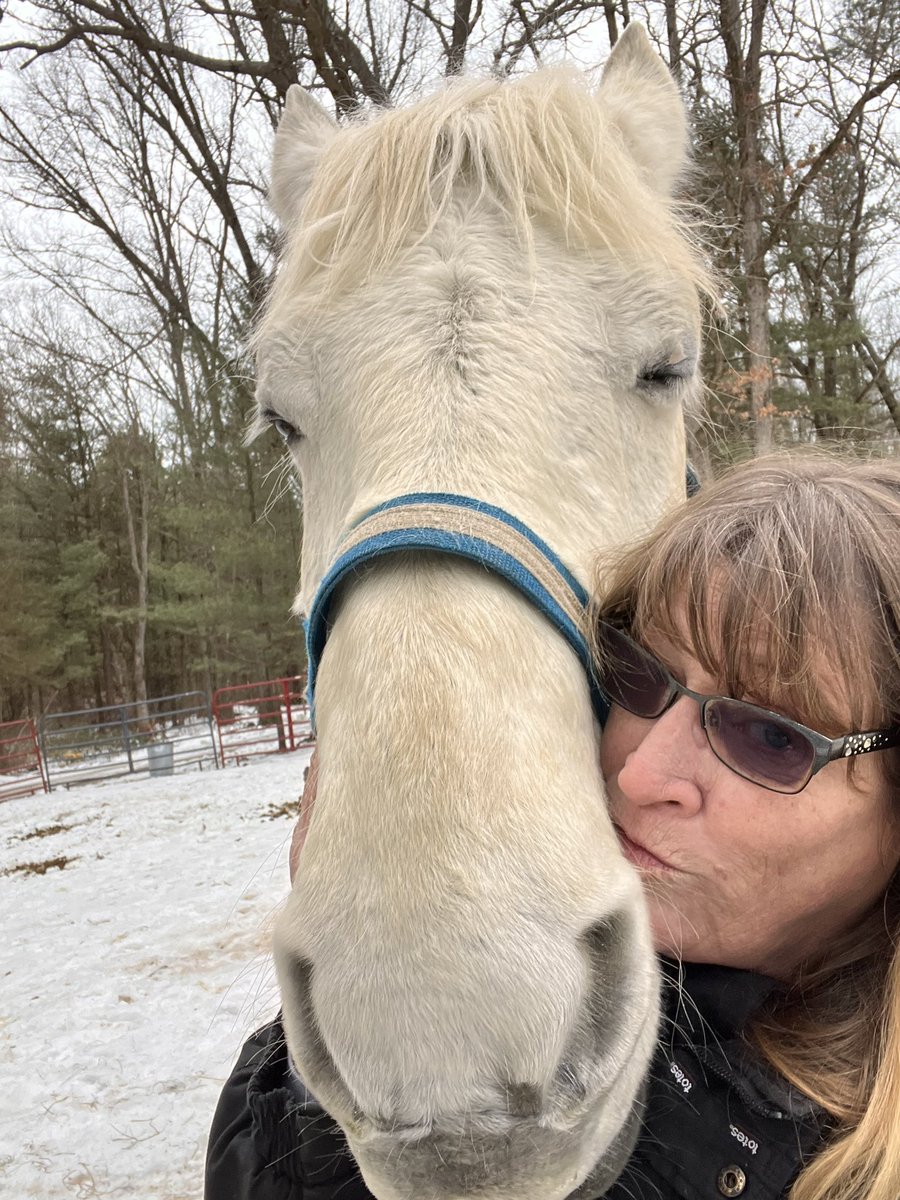 julee_avery's tweet photo. I love this mare. https://t.co/V9EZM3PPQO