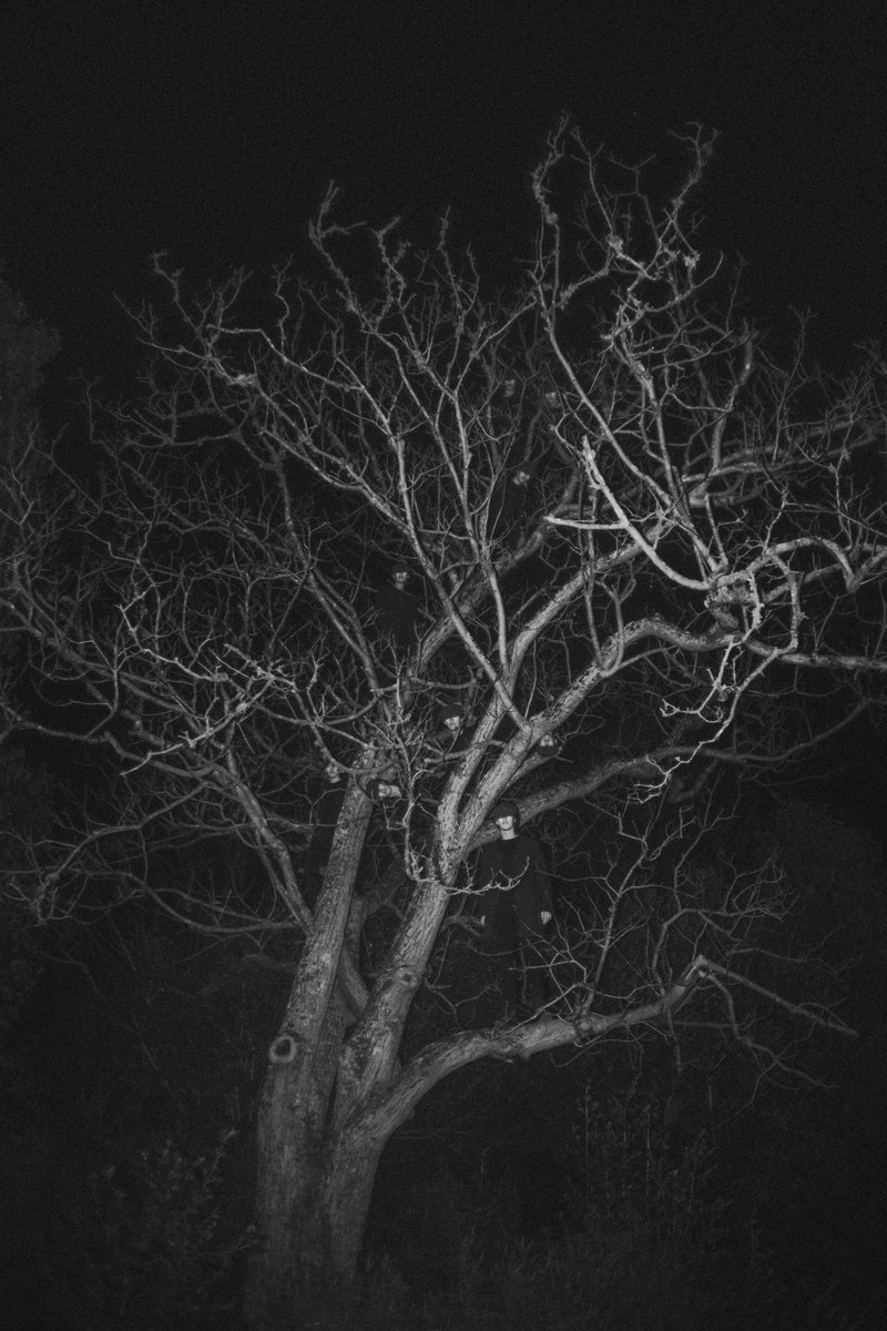 josiahfarrow's tweet photo. they're always watching https://t.co/EjDMgPd2xR