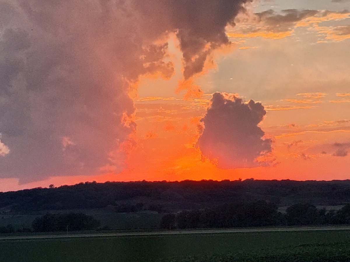 IronHeart (@ironheartbeats) on Twitter photo 