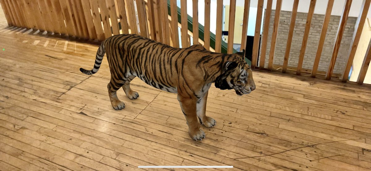 RealB_T_Baggins's tweet photo. Tight like a tiger, I mean look at this majestic beast. These things are F’n unreal! #CaroleBaskin #zoolabs3dNFT #tigerblood #zoolabsarmy #BSCGems #NFTs #ToTheMoon #BullishAF #LFG @zoo_labs @zoo_army @carolebaskin https://t.co/QzpJ8QN3jf