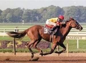 HORSERACING1002's tweet photo. FALL ASPEN (USA) 1976
(PRETENSE - CHANGE WATER BY SWAPS) #FallAspen dam 14 foals 12 winners. Bianconi. Timber Country. Fort Wood. https://t.co/pQZSbtIQFA