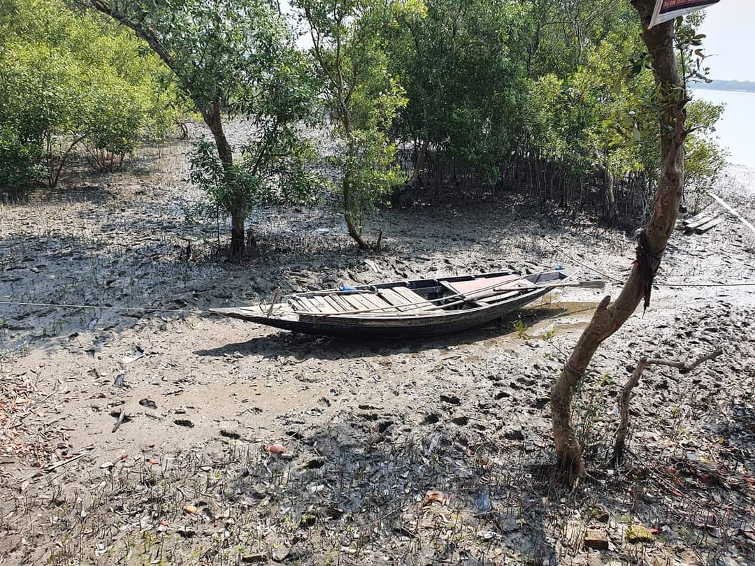 SushamaSinghYa5's tweet photo. #Boated in the #mangroves with the #royalbengaltiger lurking at you sounds adventurous 

#Sunderbans #westbengaltourism #boats https://t.co/AjiAR4PYk3