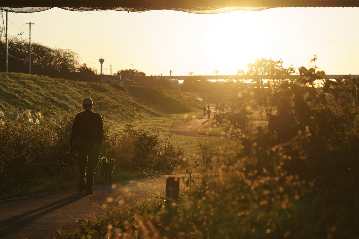 AK_fujiiro's tweet image. 多摩川_朝