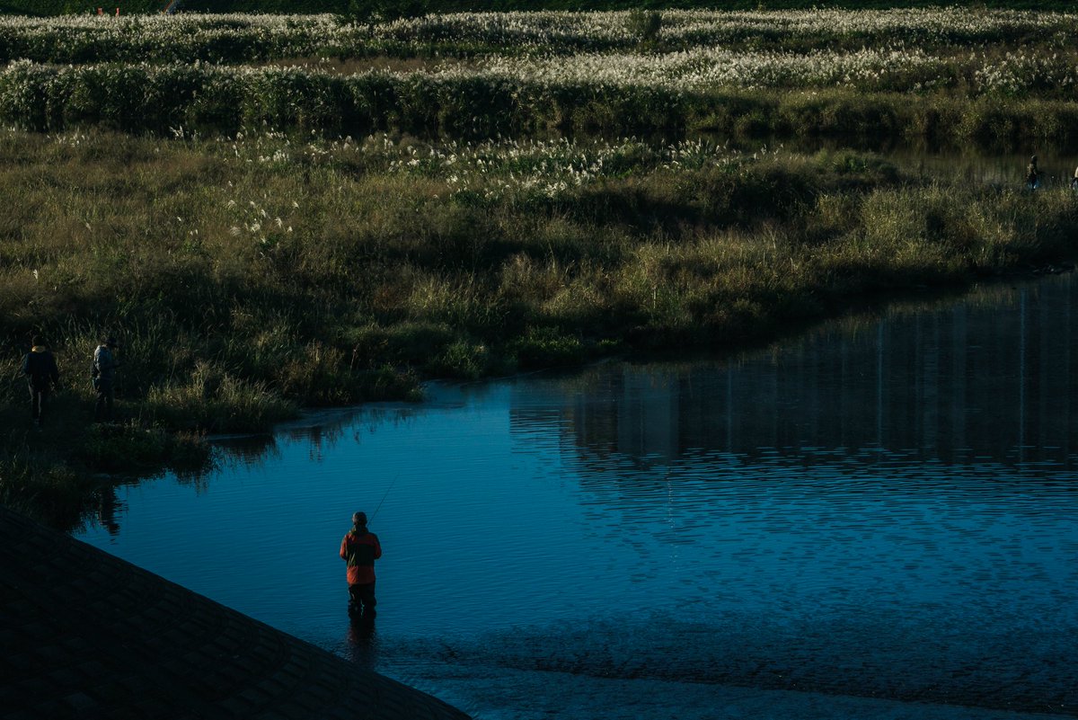 AK_fujiiro's tweet image. 多摩川_朝