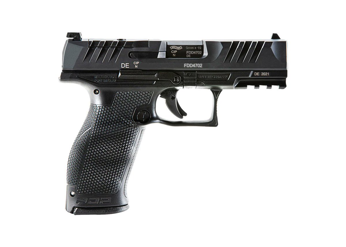 Mrgunsngear's tweet photo. Walther Arms, Inc. 18+1 optics ready PDP #mulletgun with 4'' barrel and full size frame for $539 shipped currently here: https://t.co/fPgIqEWsQc
Full review is up on the channel ππ½π₯ https://t.co/rCdFx9I1wG