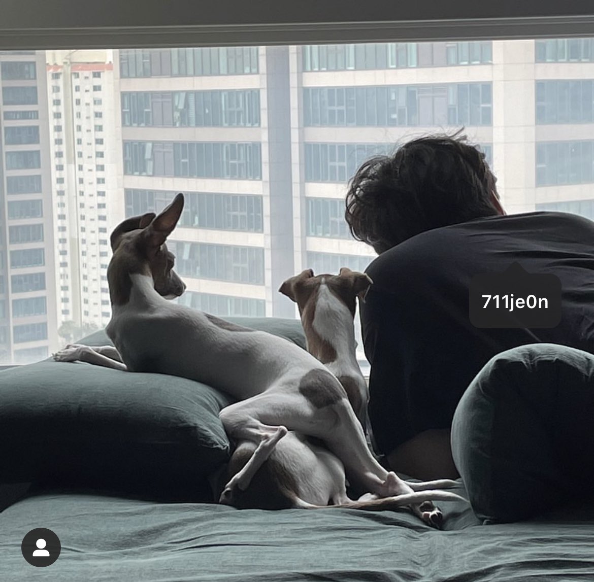 โฮ่ง🐕 tweet media