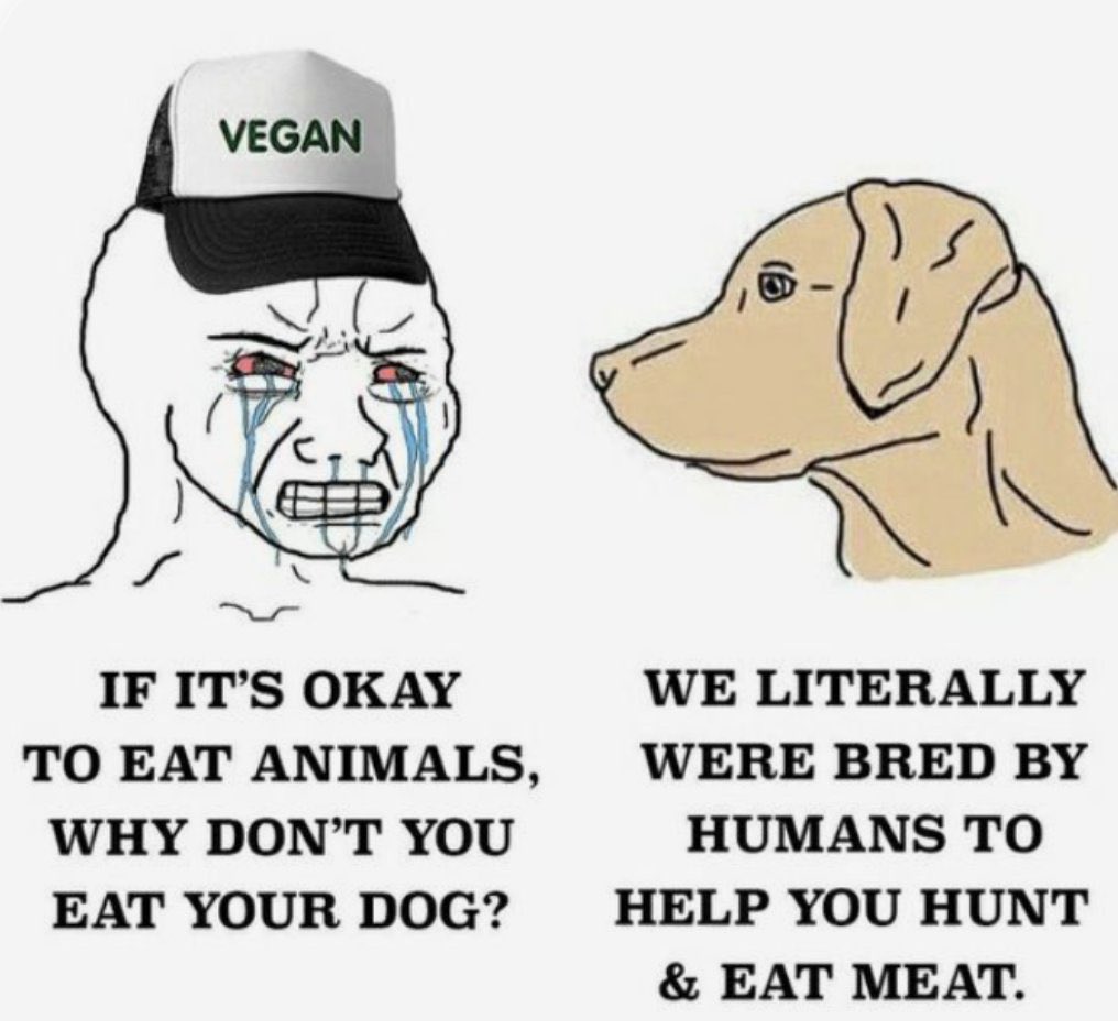 Shawn Schill 🇨🇦🇨🇦 (@shawridgefarm) on Twitter photo 