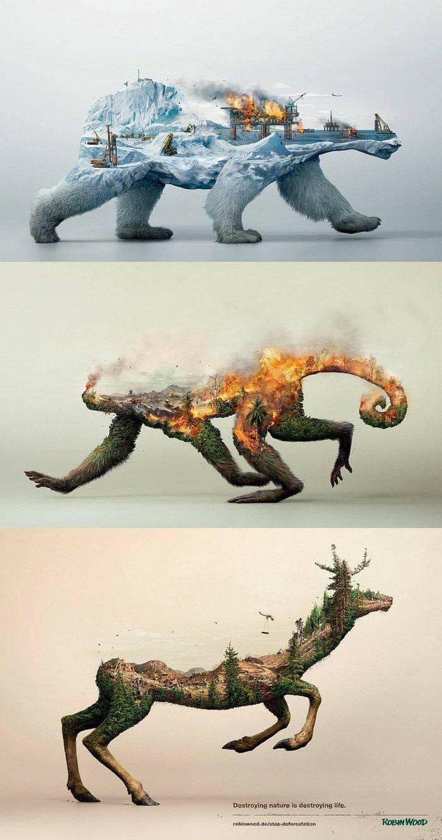 IvyDesignBlog's tweet image. &quot;Conservation awareness poster&quot;

follow &amp;amp; retweet for more posts :)  #design #art