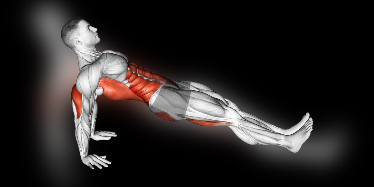 mythoughtfood's tweet photo. This pose is for people who sit most of the time.

The Reverse Plank (Purvottanasana) will bring life back into the backside of your body.

I see many fail because they lack shoulder mobility have weak posterior muscles.

Hold for a minute or two to save your hips. https://t.co/B0QYfXCUNb
