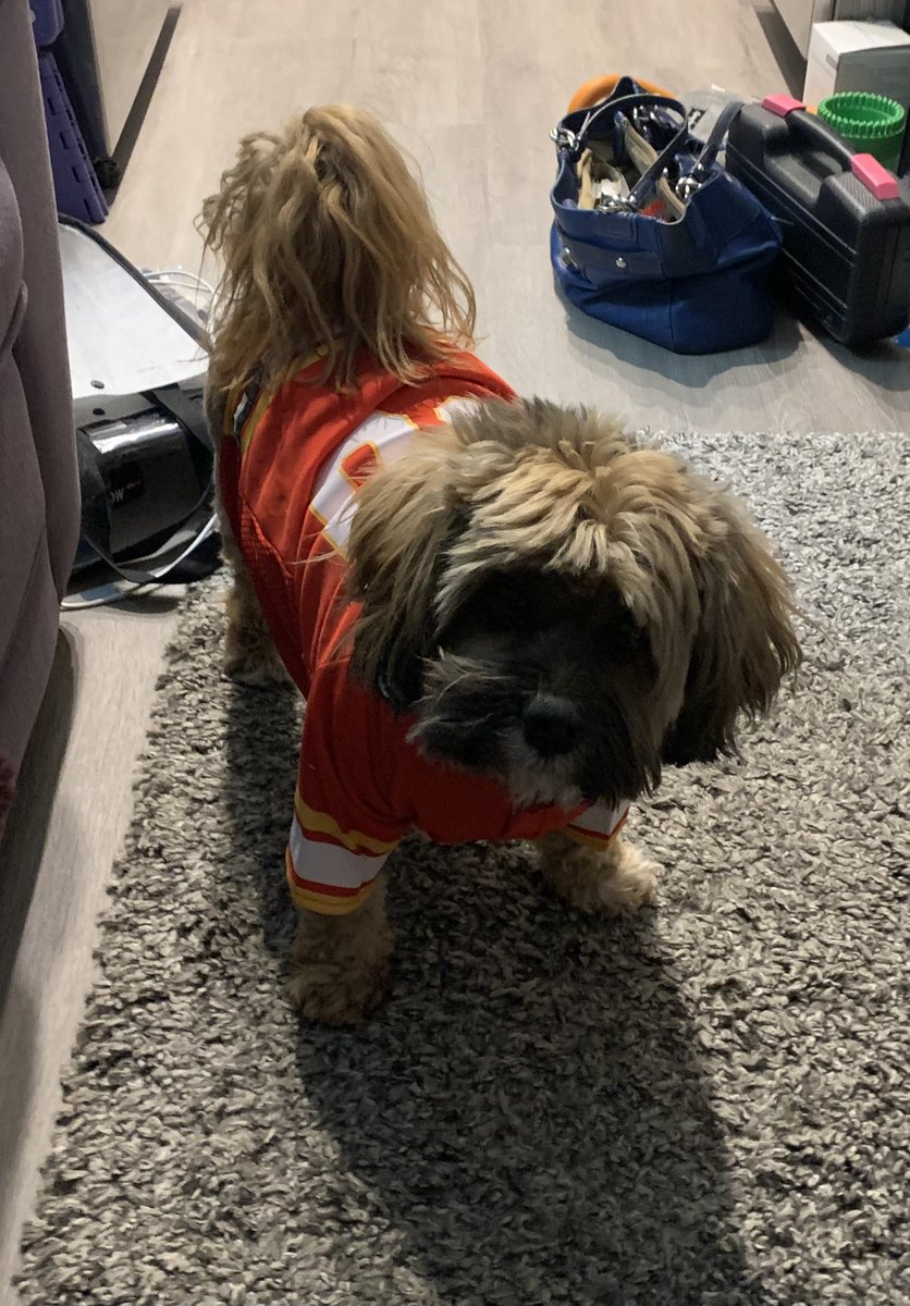 LadyDiyyc's tweet photo. My boys are sporting their new @nhlflames jerseys tonight! Hopefully it brings them extra luck against the Avalanche. @Alex_Barron_10 🐶🔥🐶🔥 https://t.co/88qZmZ8lRU