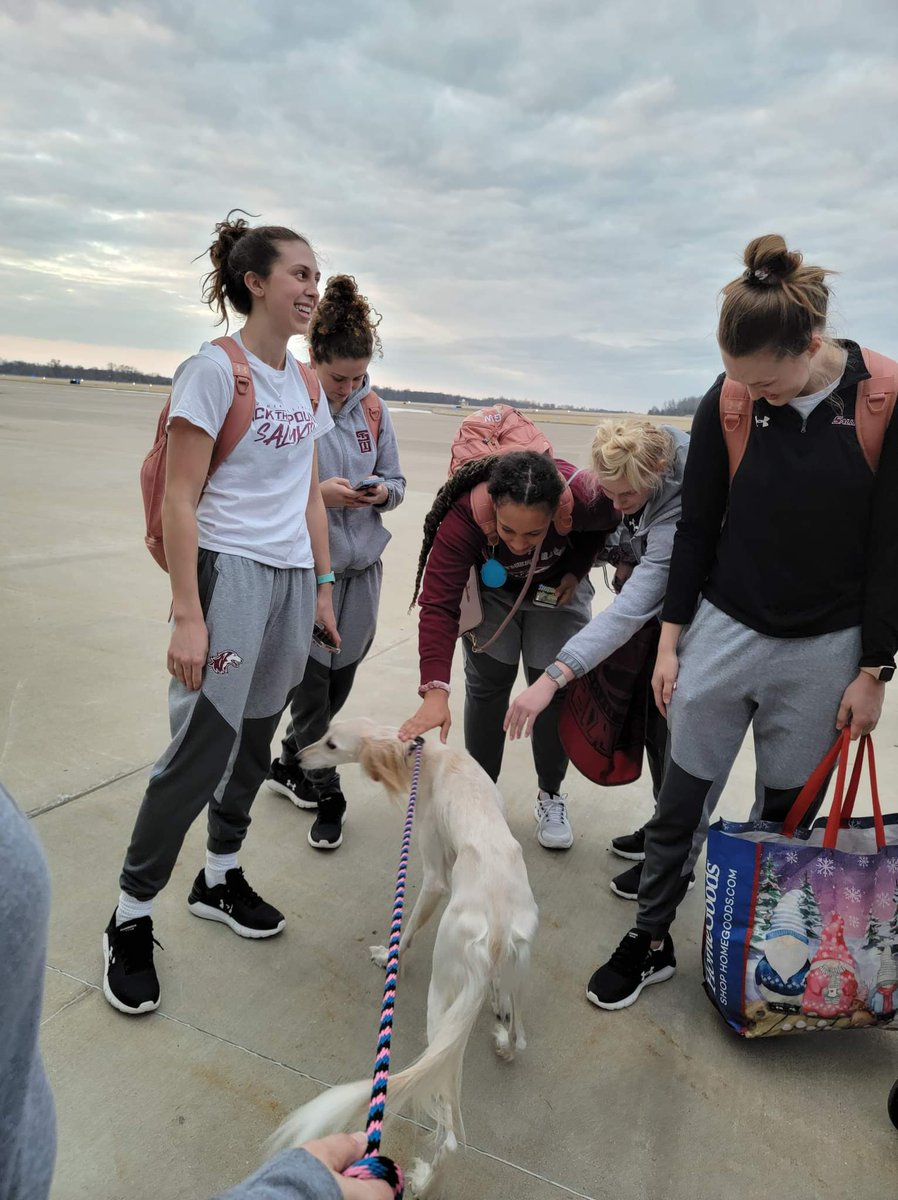 TamCook43's tweet image. Harlow was able to greet the team when they arrived at the airport this evening. What a great season and wonderful group of women. 
@SIU_WBasketball