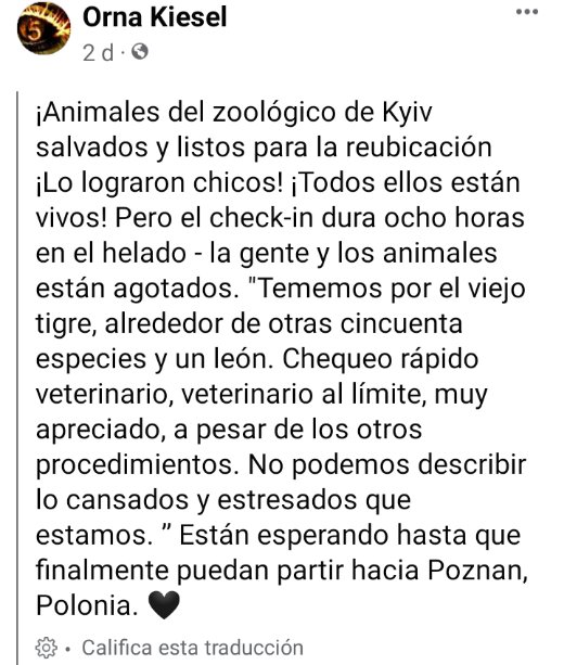 prensaanimal4's tweet photo. #AnimalesVictimasDeLaGuerra
#EnRedSocial
Guerra #Rusia #Ucrania
animales del zoológico de Kiev son trasladado a Polonia
Los animales son inocentes
Qué opinan?
#consulta https://t.co/TWDrylI9ur https://t.co/1D2z5osmvo