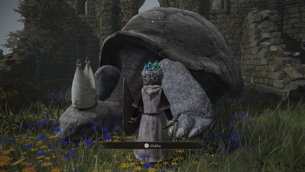 oroc's tweet photo. #PS5Share, #ELDENRING Turtle https://t.co/GbIDt3GCkU