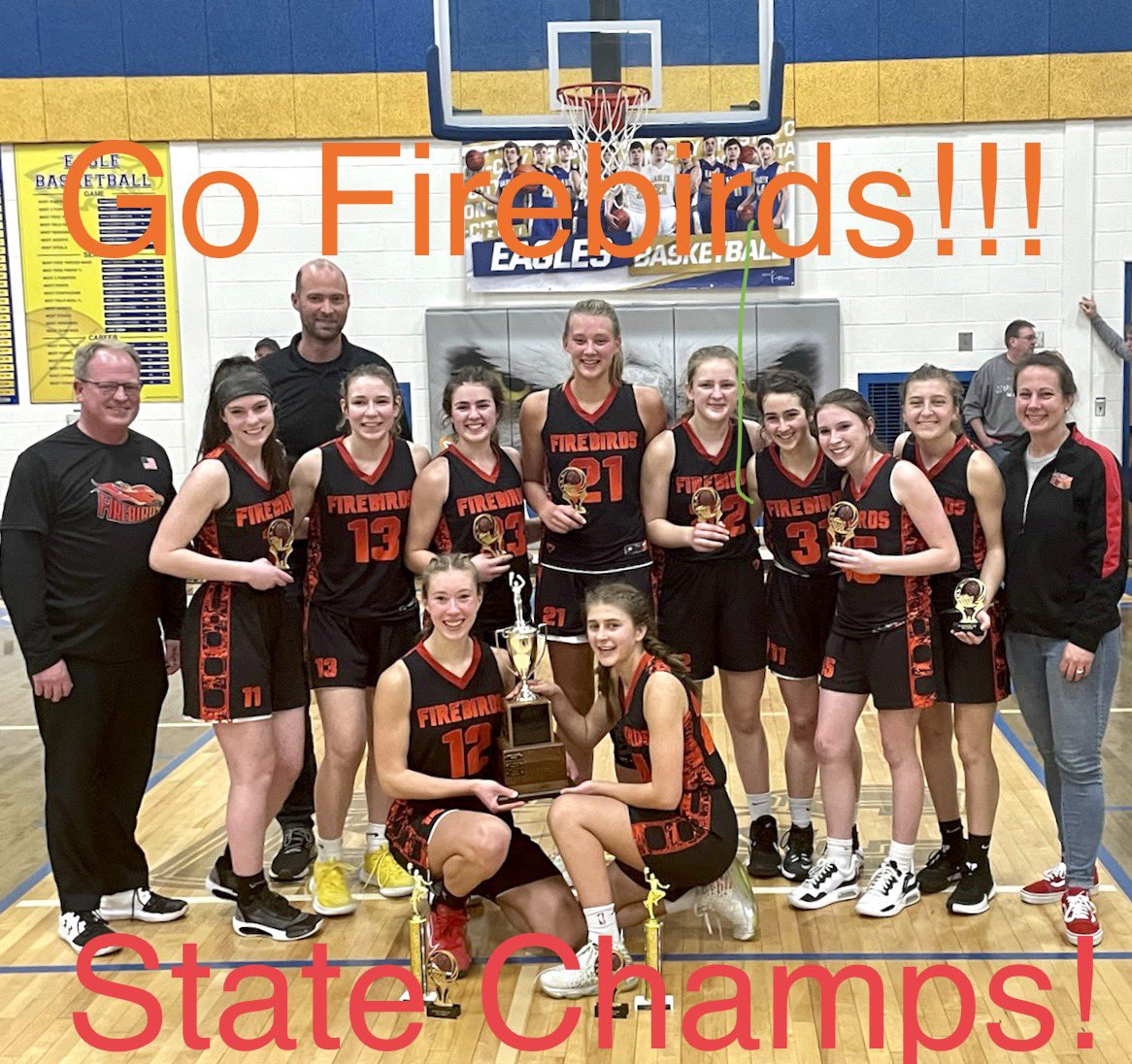 These girls DID IT! <a href="/FirebirdsHea/">HEA Firebirds</a> are the varsity State Champions! <a href="/LillyAWilliams/">Lilly Williams</a> &amp; @DanielleHehmann with the all tournament team and Lilly is Tournament MVP. Amazing job ladies! 🏆🏀