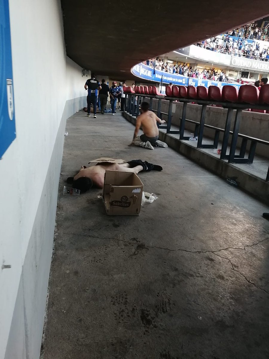 DealinRugs's tweet photo. Some photos from the riot at the Querétaro vs Atlas game.  What a shameful scene https://t.co/xmGTxYxyMH