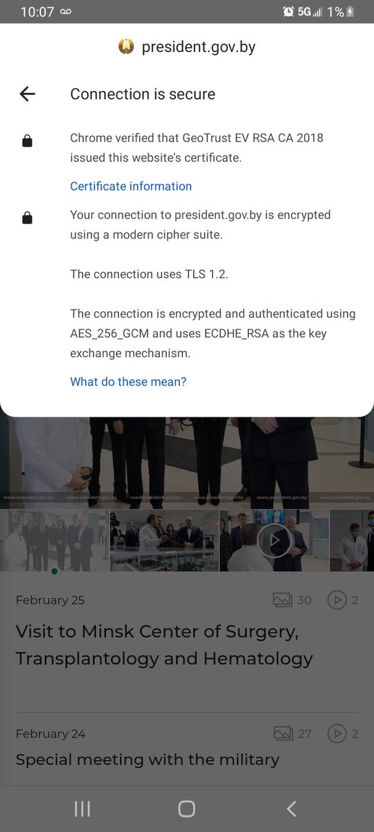 codersfx's tweet image. Companies globally are suspending #Russia and #Belarus services and operations. What about #godaddy #digicert #geotrust that still actively provides ssl protection to these war criminals! We been calling on these companies to suspend protection of the government of @BelarusMFA.