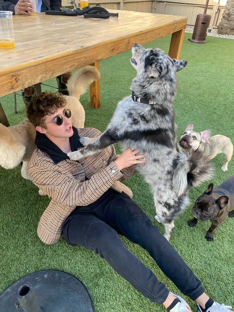 matt tweet media