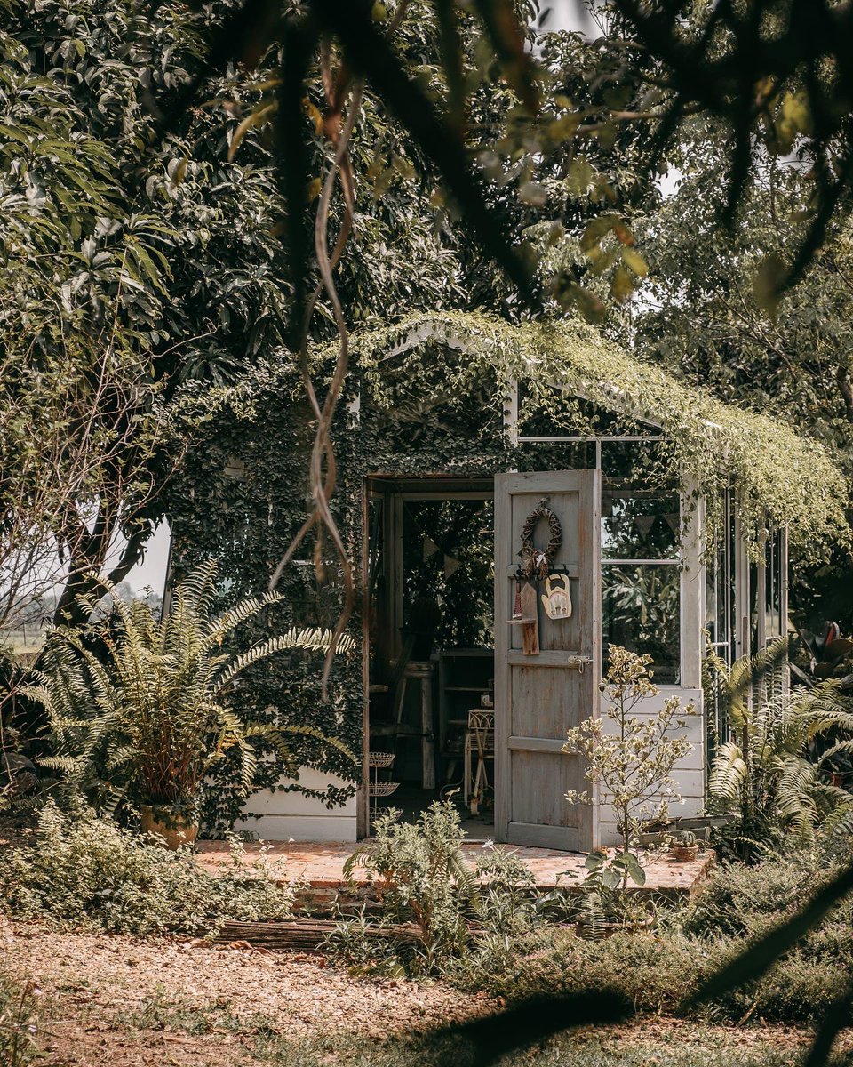 Rattomarty's tweet photo. จากนิยายคาเฟ่ ตลิ่งชัน เปิดบทใหม่เป็น “นิยาย บ้านสวน”⁣⁣ บ้านหลังสวยริมบึงน้ำสไตล์ชนบทอังกฤษ ด้านหลังติดทุ่งข้าวเขียวขจี มี glass house หลังน้อยที่เริ่มมีไม้เลื้อยปกคลุมซ่อนตัวอยู่มุมหนึ่ง เรือลำเล็กผูกโยงอยู่ริมท่า สวยงามเหมือนฉากในนิยาย⁣⁣ #รีวิวคาเฟ่ https://t.co/Zd520b7kAt