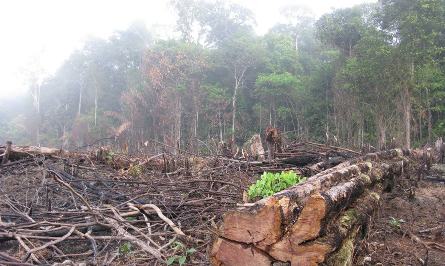 Forests being destroyed at a pace even with rate of human population growth. Unless something changes soon, by 2030 we will only have 10% of natural forests that stood on Earth In last 30 years, two-thirds of forests of Central America have been cut down.motherearthnews.com/nature-and-env…